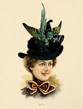 Victorian Women and Parlour Art – Taxidermy (Part Three)